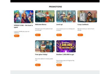 Locowin - Strona promocyjna