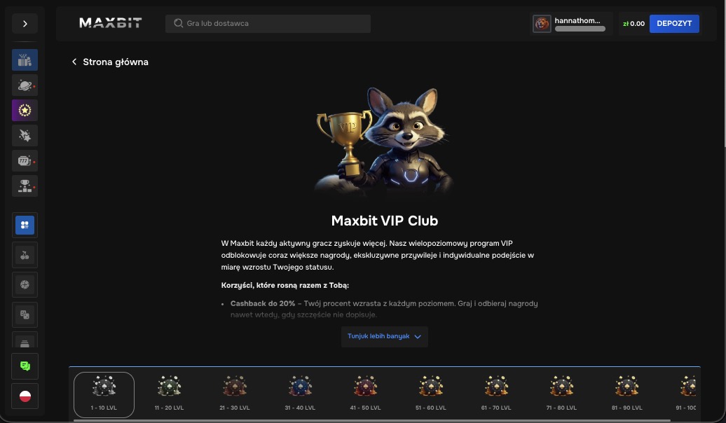 Program VIP kasyna Maxbit