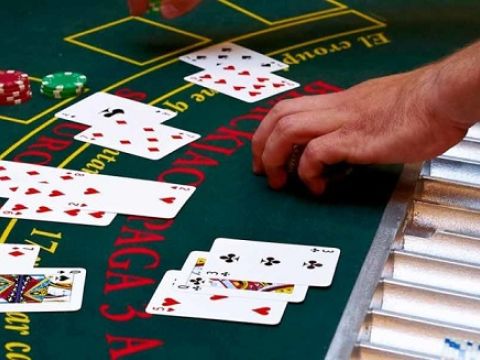 live blackjack croupier